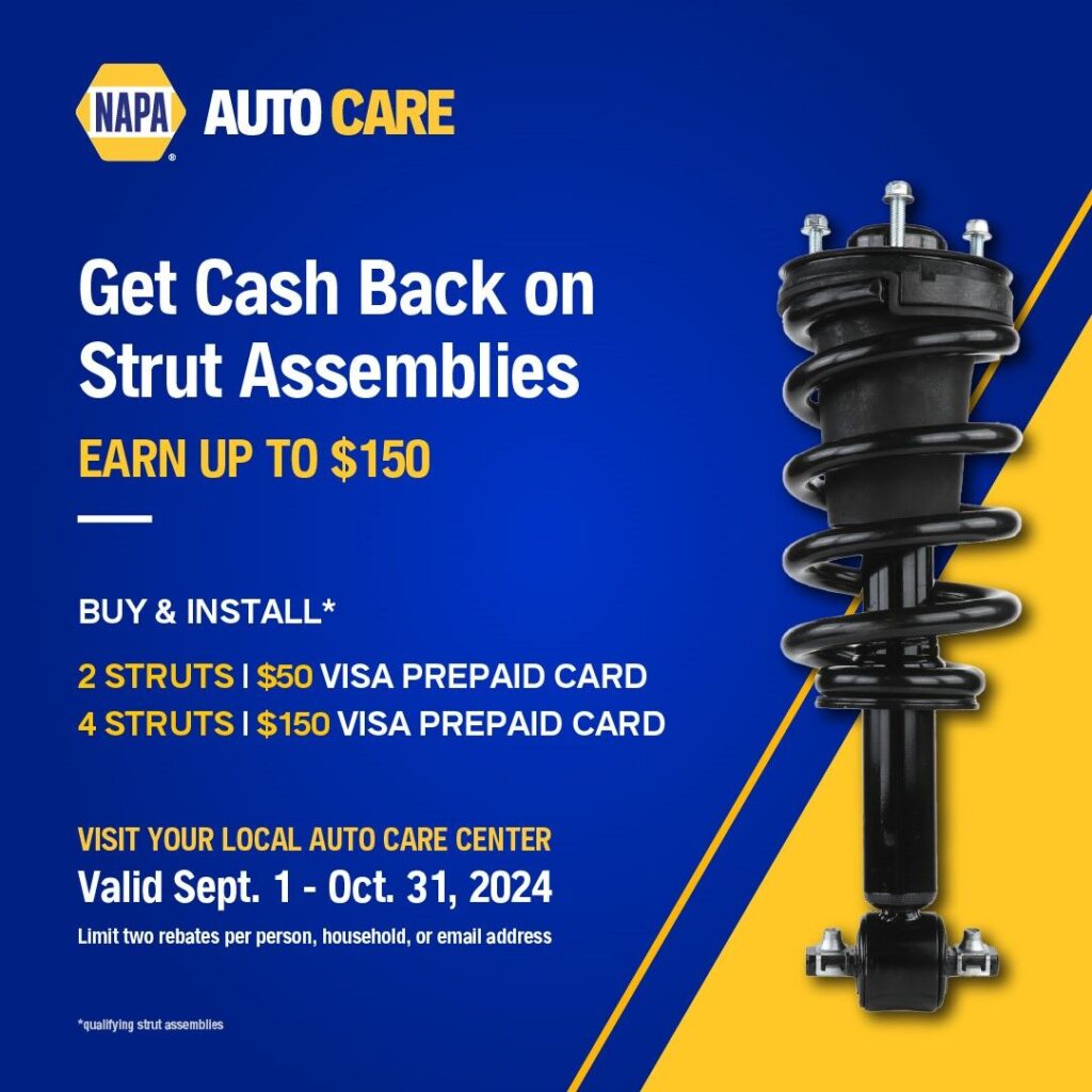 NAPA Strut Assemblies